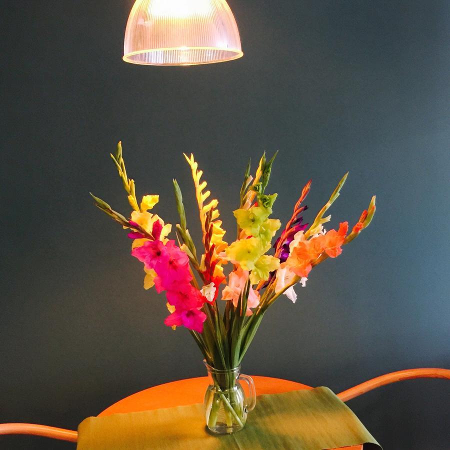 La Villa Dolce Suites & Chambres D'Hotes ลาโรแชล ภายนอก รูปภาพ